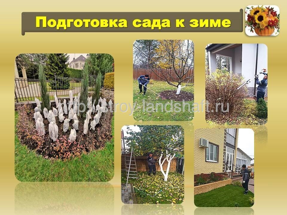 Подготовка вашего сада к зиме услуги садовников москва и область